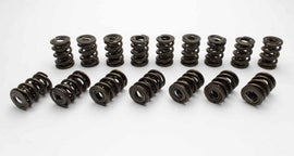 MANLEY 221456-16 1.500 NexTek Dual Valve Springs