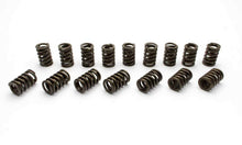 Load image into Gallery viewer, MANLEY 22407-16 1.437 Street Master Dual Valve Springs