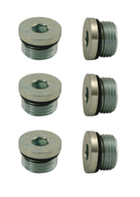 Load image into Gallery viewer, MOROSO 97005 3/4-16 Access Plug with O-Ring