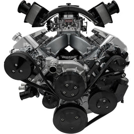 MARCH PERFORMANCE 20035-08 March Performance 20035-08 Chevy LS1-LS7 Pro-Track Serpentine Kit, Black