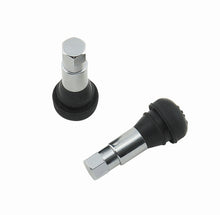 Load image into Gallery viewer, MR. GASKET 1955 Chrome Tire Valve-Short