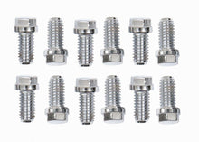 Load image into Gallery viewer, MR. GASKET 2210G 304 S/S Header Bolt Kit Hex Head 3/8-16x3/4