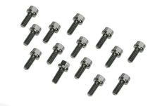 Load image into Gallery viewer, MR. GASKET 976 Header Bolt Kit