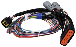 MSD IGNITION 7780 Replacement Harness - 7730 Power Grid