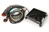 MSD IGNITION 8000 Pro 600 CDI Ignition System