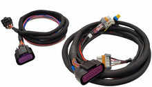 Load image into Gallery viewer, MSD IGNITION 88014 MSD Ignition Harness for LS Ignition Control Box Part #88014