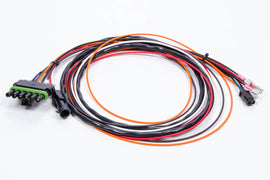 MSD IGNITION ASY17296 Wiring Harness