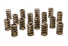 Load image into Gallery viewer, PAC RACING SPRINGS PAC-1201-16 1.260 Single Valve Springs w/Damper (16)