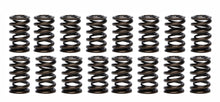 Load image into Gallery viewer, PAC RACING SPRINGS PAC-1203-16 1.260 Dual Valve Springs (16)