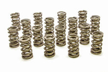 Load image into Gallery viewer, PAC RACING SPRINGS PAC-1208X-16 1.324 Dual Valve Springs - RPM Series (16)