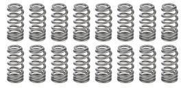 PAC RACING SPRINGS PAC-1234X-16 1.021 Valve Springs - Ovate Beehive (16)