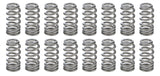 PAC RACING SPRINGS PAC-1234X-16 1.021 Valve Springs - Ovate Beehive (16)