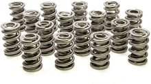 Load image into Gallery viewer, PAC RACING SPRINGS PAC-1326-16 1.550 Dual Valve Springs (16)