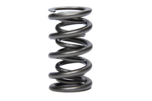 Load image into Gallery viewer, PAC RACING SPRINGS PAC-1356 1.500 Dual Valve Spring (1)