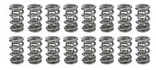 Load image into Gallery viewer, PAC RACING SPRINGS PAC-1364L-16 1.681 Triple Valve Springs  (16)