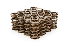 PAC RACING SPRINGS PAC-1371-16 1.374 Dual Valve Springs (16)