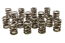 PAC RACING SPRINGS PAC-1900-16 Valve Springs - HR Series (16)