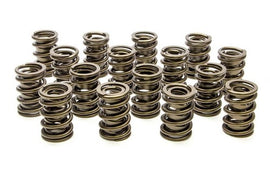 PAC RACING SPRINGS PAC-1901-16 Valve Springs - HR Series (16)