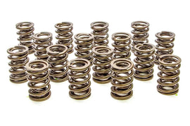 PAC RACING SPRINGS PAC-1903-16 Valve Springs - HR Series (16)