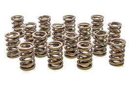 PAC RACING SPRINGS PAC-1904-16 Valve Springs - HR Series (16)