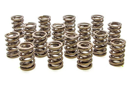 PAC RACING SPRINGS PAC-1905-16 Valve Springs - HR Series (16)