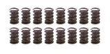 PAC RACING SPRINGS PAC-1916-16 1.538 Dual Valve Springs w/Damper (16)