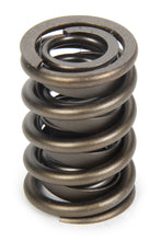 Load image into Gallery viewer, PAC RACING SPRINGS PAC-1924-1 Valve Spring - HR Series (1)