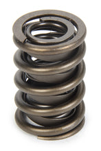 Load image into Gallery viewer, PAC RACING SPRINGS PAC-1924 Valve Spring - HR Series (1)