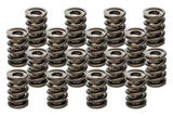 PAC RACING SPRINGS PAC-1940-16 Valve Springs - HR Series (16)