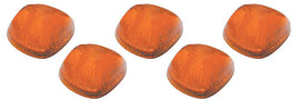 PACER PERFORMANCE 20-231 LED Amber 5 Light Kit