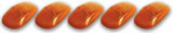 PACER PERFORMANCE 20-244 LED Amber 5 Light Kit