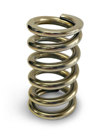 PROFORM BB1902 Calibrated Test Spring Medium 50-450lbs