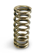 Load image into Gallery viewer, PROFORM BB1903 Calibrated Test Spring 10-190lbs