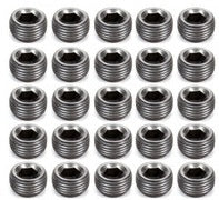 PIONEER PP-554-25 Pipe Plugs - 3/8 (25)
