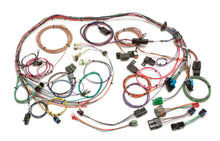 Load image into Gallery viewer, PAINLESS WIRING 60101 Tbi Harness