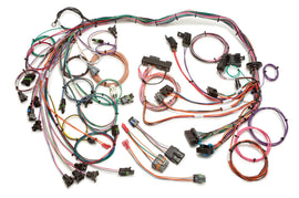 PAINLESS WIRING 60102 Tpi Harness 85-89