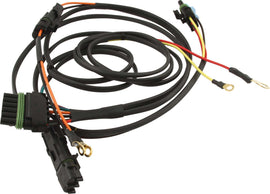 QUICKCAR RACING PRODUCTS 50-2031 Ignition Harness Single Box