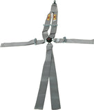 RCI 9211CPL Harness System 5/6pt P/D Camlock V-Type Platinum