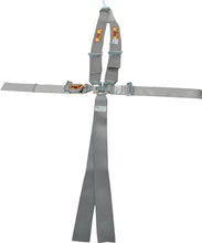 Load image into Gallery viewer, RCI 9211PL Harness System 5/6pt P/D L/L V-Type Platinum
