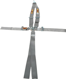 RCI 9211PL Harness System 5/6pt P/D L/L V-Type Platinum