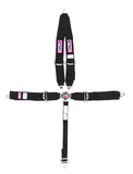 RJS SAFETY 1029301 5 PT Harness System Q/R BK Roll Bar 2inSub