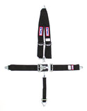 RJS SAFETY 1125401 5-PT Harness System BK Shoulder MT 2in Sub