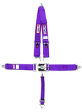 RJS SAFETY 1125408 5-PT Harness System PL shoulder MT 2IN Sub