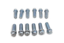 Load image into Gallery viewer, RACING POWER CO-PACKAGED R0938S Stainless Header Bolts 6-Point Head 12 Pcs.