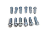 RACING POWER CO-PACKAGED R0938 Header Bolt Kit 3/8in Zinc Set Of 12