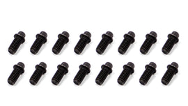 SCHOENFELD 3006-16 Header Bolt 3/8-16x3/4in 5/16 Head  16pk