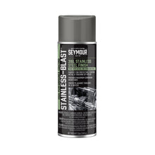 Load image into Gallery viewer, SEYMOUR PAINT 16-54 SEYMOUR PAINT Stainless Blast Paint Spray Can 13oz – Acrylic Lacquer for Stainless Steel Finishes