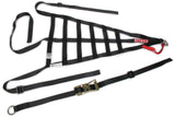 SIMPSON SAFETY DNC5RRP Driver Net Corvette Left Poly 28in x 15-3/4