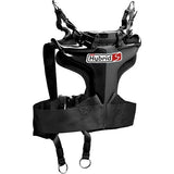SIMPSON SAFETY HYSLRG11PA Hybrid Sport Large Post Anchor Clip