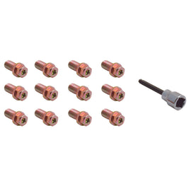 SPECTRE 46703 Header Bolts Hex Head